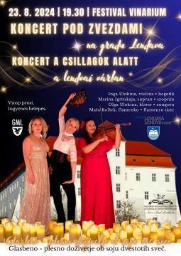 PLAKAT  KONCERT pod zvezdami 2024